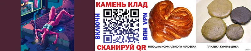 Купить где  Апшеронск  Гашиш индика сатива 